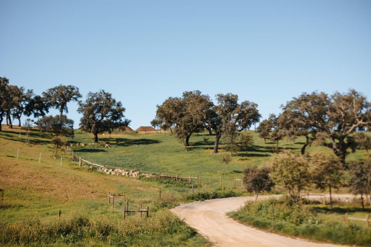 Cucumbi Bauernhof
