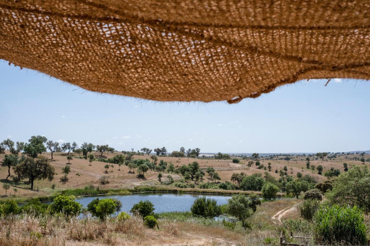 Cucumbi Santa Suzana